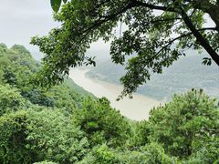 -铁山坪森林公园