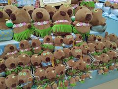 -酷乐潮玩(北京超极合生汇店)