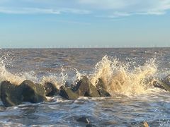 -南汇嘴观海公园