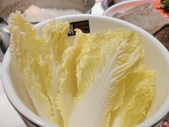 -汤岛涮小火锅(温州龙湾万达店)