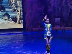 -芜湖新华联大白鲸海洋公园