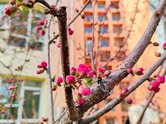 -红黄蓝幼儿园(颐东苑店)