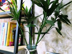 -凯特语言中心·STBJ日语等级考点(慈云寺总校)