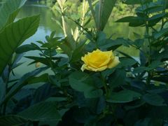 -祝幺妹火锅(裕华村总店)