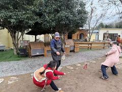 -HERRE·FARM 赫尔露营农场·团建聚会包场