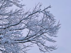 -武汉紫薇都市田园