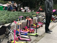 -杭州师范大学附属小博士艺术幼儿园