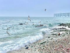 -银沙滩浴场