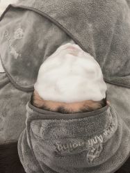 -紫御国际抗衰ZOE ANTI AGING