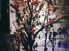 景观位-江南韵·无锡太湖文化体验餐厅(凤凰天街店)