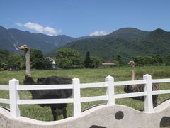 -瑞穗牧场