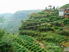 -磐安舞龙峡景区