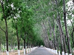 -东郊湿地公园