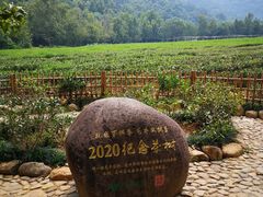-中国茶叶博物馆(双峰馆区)