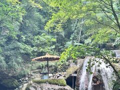 -牛背梁国家森林公园