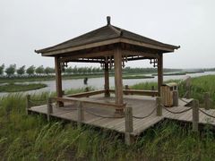 -呼兰河口湿地公园