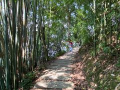 -广州市流溪河国家森林公园