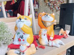 -柴犬高等学院·狗咖·柴犬售卖·宠物训练