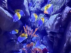 -成都浩海立方海洋公园