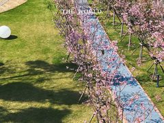 -福建鲤鱼洲酒店