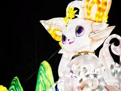 -武汉园博园(武汉自然博物馆)