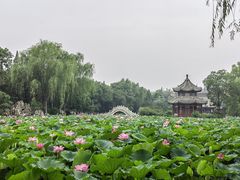 -莲池书院博物馆