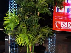 -环球国际影城(天鸿广场LUXE巨幕店)