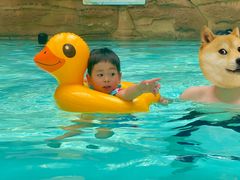 -杭州开元森泊度假乐园