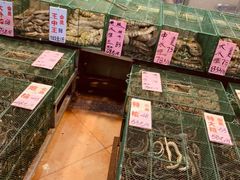 -荔城生鲜盛宴(番禺旗舰店)