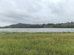 -御道口草原森林风景区