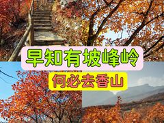 -周口店坡峰岭风景区