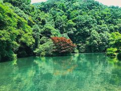 -果粉管家苹果维修·苹果哥科技(中关村科贸中心写字楼店)