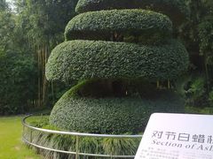 -苏州河梦清园环保主题公园