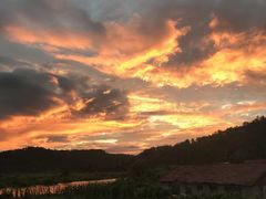 -五营红松林海景区