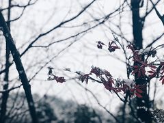 -天目湖涵田半山温泉