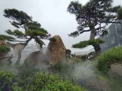 -罗红摄影艺术馆