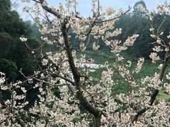 -樱桃山旅游景区