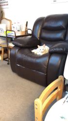 -尚美日式美甲美睫工作室