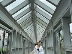 泳池-上海明天广场JW万豪酒店