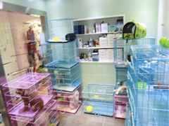 -宠伴小精灵宠物店(鼓楼店)