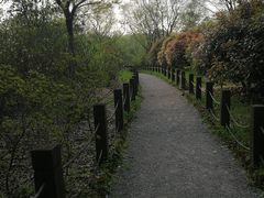 -新江湾城公园
