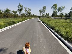 -天津东丽湖风景区