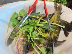 -老凯俚酸汤鱼(鸿通城店)