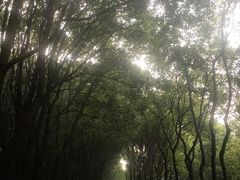 -同里国家湿地公园