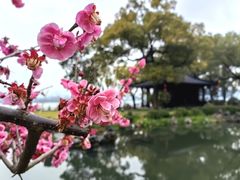 -杭州西湖柳莺里酒店