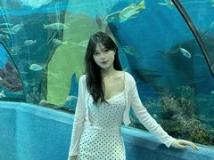 -合肥海洋世界