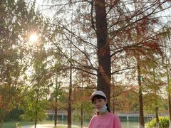 -艾溪湖湿地公园