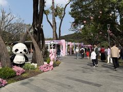 -云溪植物园
