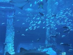 -南昌融创海世界