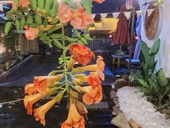 -陈生记黑鱼馆·20年活鱼现杀(宁波鼓楼店)